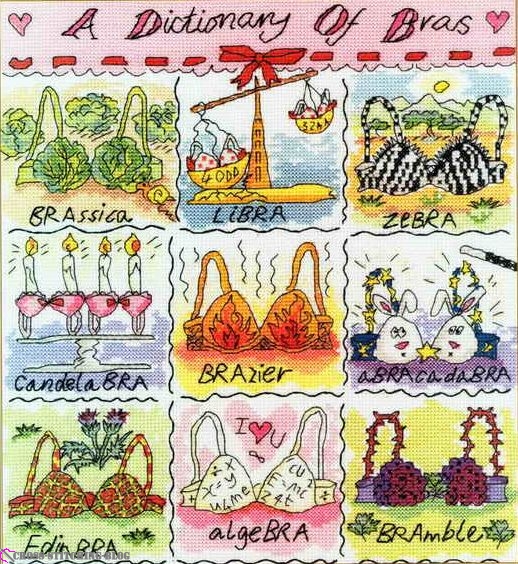 A Dictionary of Bras