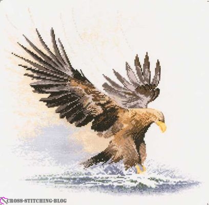FFEF481-Eagle_in_Flight